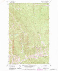 Richards Mountain Montana Historical topographic map, 1:24000 scale, 7.5 X 7.5 Minute, Year 1963