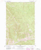 Richards Mountain Montana Historical topographic map, 1:24000 scale, 7.5 X 7.5 Minute, Year 1963