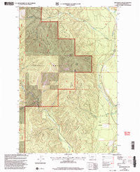 Richards Peak Montana Historical topographic map, 1:24000 scale, 7.5 X 7.5 Minute, Year 1999