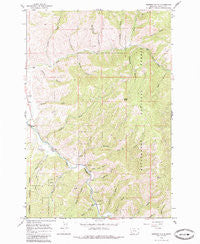 Robbins Gulch Montana Historical topographic map, 1:24000 scale, 7.5 X 7.5 Minute, Year 1964