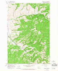 Robbins Gulch Montana Historical topographic map, 1:24000 scale, 7.5 X 7.5 Minute, Year 1964