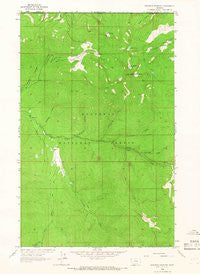 Robinson Mountain Montana Historical topographic map, 1:24000 scale, 7.5 X 7.5 Minute, Year 1963