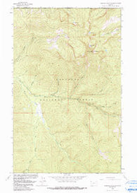 Robinson Mountain Montana Historical topographic map, 1:24000 scale, 7.5 X 7.5 Minute, Year 1963