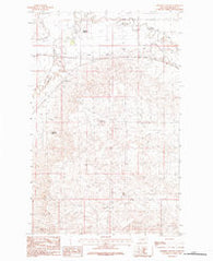 Robinson Ranch Montana Historical topographic map, 1:24000 scale, 7.5 X 7.5 Minute, Year 1984