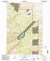 Rock Creek Lake Montana Historical topographic map, 1:24000 scale, 7.5 X 7.5 Minute, Year 1996