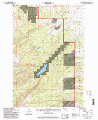 Rock Creek Lake Montana Historical topographic map, 1:24000 scale, 7.5 X 7.5 Minute, Year 1996