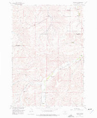 Roscoe NE Montana Historical topographic map, 1:24000 scale, 7.5 X 7.5 Minute, Year 1956