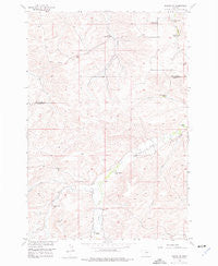 Roscoe NE Montana Historical topographic map, 1:24000 scale, 7.5 X 7.5 Minute, Year 1956