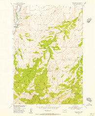 Ross Canyon Montana Historical topographic map, 1:24000 scale, 7.5 X 7.5 Minute, Year 1954