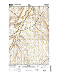 Ross Fork Montana Current topographic map, 1:24000 scale, 7.5 X 7.5 Minute, Year 2014