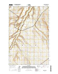 Ross Fork Montana Current topographic map, 1:24000 scale, 7.5 X 7.5 Minute, Year 2014