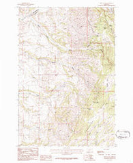 Roy Gulch Montana Historical topographic map, 1:24000 scale, 7.5 X 7.5 Minute, Year 1986