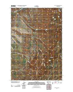 Roy Gulch Montana Historical topographic map, 1:24000 scale, 7.5 X 7.5 Minute, Year 2011