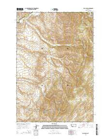 Roy Gulch Montana Current topographic map, 1:24000 scale, 7.5 X 7.5 Minute, Year 2014