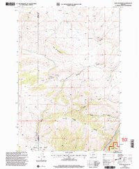 Ruby Mountain Montana Historical topographic map, 1:24000 scale, 7.5 X 7.5 Minute, Year 2000