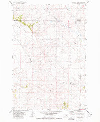 Ruskosky Ridge Montana Historical topographic map, 1:24000 scale, 7.5 X 7.5 Minute, Year 1980