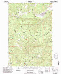 Russian Flat Montana Historical topographic map, 1:24000 scale, 7.5 X 7.5 Minute, Year 1995