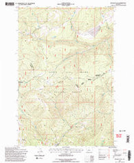 Russian Flat Montana Historical topographic map, 1:24000 scale, 7.5 X 7.5 Minute, Year 1995