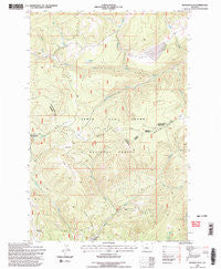 Russian Flat Montana Historical topographic map, 1:24000 scale, 7.5 X 7.5 Minute, Year 1995