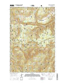 Russian Flat Montana Current topographic map, 1:24000 scale, 7.5 X 7.5 Minute, Year 2014