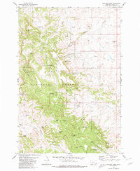 Rustler Divide Montana Historical topographic map, 1:24000 scale, 7.5 X 7.5 Minute, Year 1980