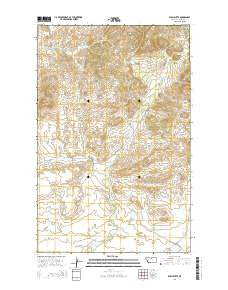 Ryan Butte Montana Current topographic map, 1:24000 scale, 7.5 X 7.5 Minute, Year 2014
