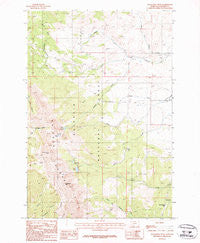 Sacagawea Peak Montana Historical topographic map, 1:24000 scale, 7.5 X 7.5 Minute, Year 1987