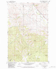 Saddle Mountain Montana Historical topographic map, 1:24000 scale, 7.5 X 7.5 Minute, Year 1984