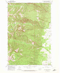 Saint Mary Peak Montana Historical topographic map, 1:24000 scale, 7.5 X 7.5 Minute, Year 1967