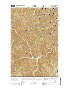 Saint Patrick Peak Montana Current topographic map, 1:24000 scale, 7.5 X 7.5 Minute, Year 2014