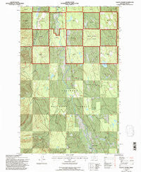 Salmon Prairie Montana Historical topographic map, 1:24000 scale, 7.5 X 7.5 Minute, Year 1994