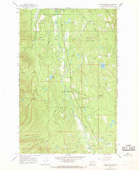 Salmon Prairie Montana Historical topographic map, 1:24000 scale, 7.5 X 7.5 Minute, Year 1965