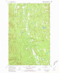 Salmon Prairie Montana Historical topographic map, 1:24000 scale, 7.5 X 7.5 Minute, Year 1965