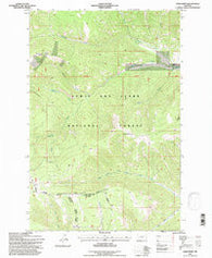 Sand Point Montana Historical topographic map, 1:24000 scale, 7.5 X 7.5 Minute, Year 1995