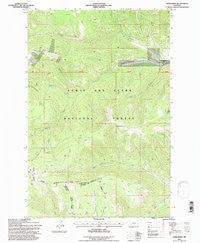 Sand Point Montana Historical topographic map, 1:24000 scale, 7.5 X 7.5 Minute, Year 1995