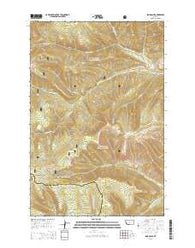 Sand Point Montana Current topographic map, 1:24000 scale, 7.5 X 7.5 Minute, Year 2014