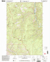 Sawmill Saddle Montana Historical topographic map, 1:24000 scale, 7.5 X 7.5 Minute, Year 1999