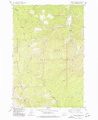 Sawmill Saddle Montana Historical topographic map, 1:24000 scale, 7.5 X 7.5 Minute, Year 1974