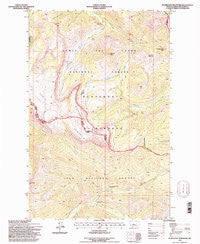 Scapegoat Mountain Montana Historical topographic map, 1:24000 scale, 7.5 X 7.5 Minute, Year 1995