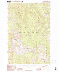 Schley Mountain Montana Historical topographic map, 1:24000 scale, 7.5 X 7.5 Minute, Year 1985