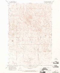 School Butte Montana Historical topographic map, 1:24000 scale, 7.5 X 7.5 Minute, Year 1965
