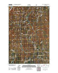 Schultz Saddle Montana Historical topographic map, 1:24000 scale, 7.5 X 7.5 Minute, Year 2011