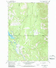 Seeley Lake East Montana Historical topographic map, 1:24000 scale, 7.5 X 7.5 Minute, Year 1965