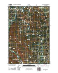 Selway Mountain Montana Historical topographic map, 1:24000 scale, 7.5 X 7.5 Minute, Year 2011