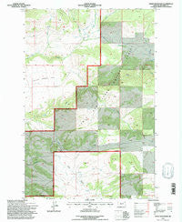 Sheep Mountain Montana Historical topographic map, 1:24000 scale, 7.5 X 7.5 Minute, Year 1995