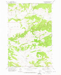 Sheep Mountain Montana Historical topographic map, 1:24000 scale, 7.5 X 7.5 Minute, Year 1971