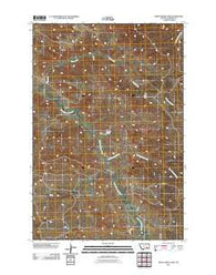 Sheep Creek Camp Montana Historical topographic map, 1:24000 scale, 7.5 X 7.5 Minute, Year 2011