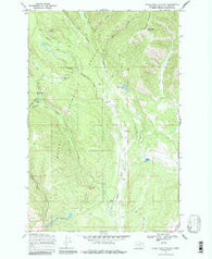 Silver King Mountain Montana Historical topographic map, 1:24000 scale, 7.5 X 7.5 Minute, Year 1968