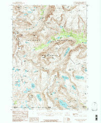 Silver Run Peak Montana Historical topographic map, 1:24000 scale, 7.5 X 7.5 Minute, Year 1986