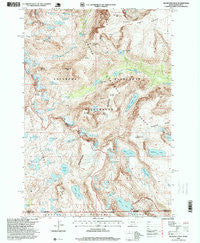 Silver Run Peak Montana Historical topographic map, 1:24000 scale, 7.5 X 7.5 Minute, Year 1996